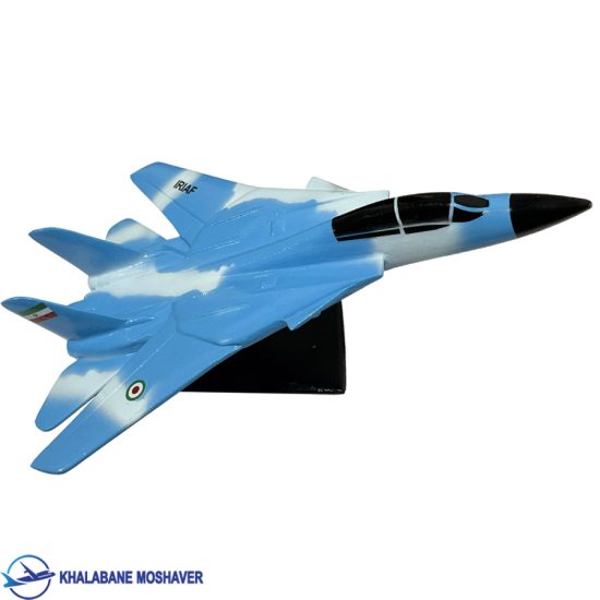 ماکت جنگنده شکاری F-14
