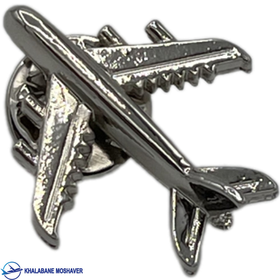 پین خلبانی نقره ای