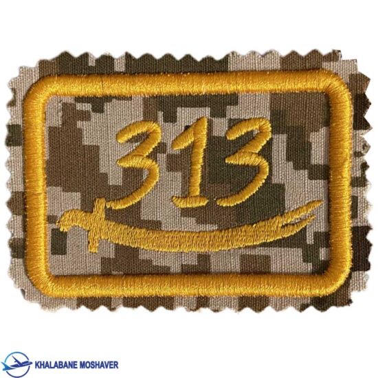 آرم 313 کامپیوتر خاکی