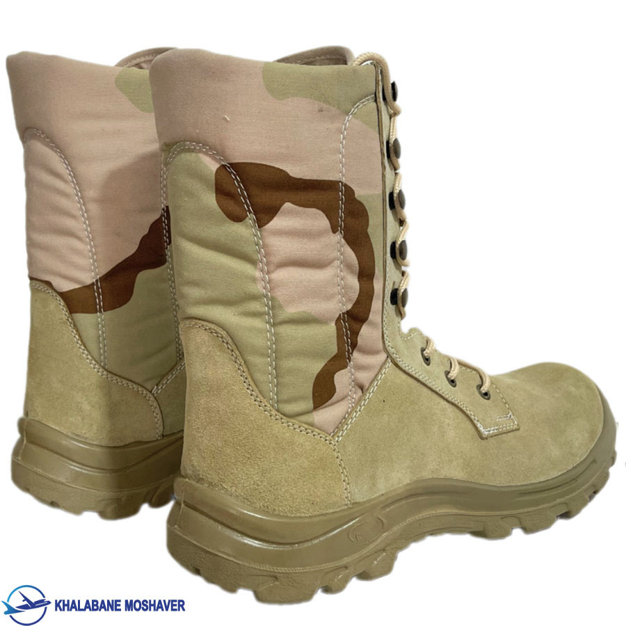 پوتین مرزبانی