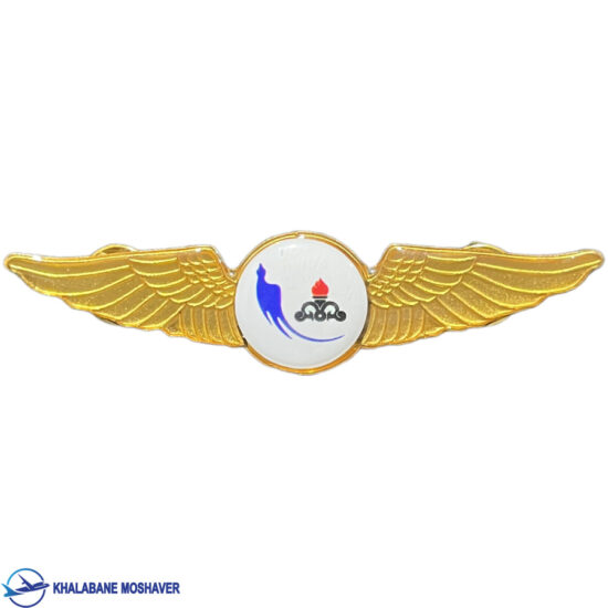 وینگ خلبانی کارون