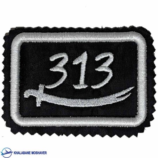 آرم بازو 313