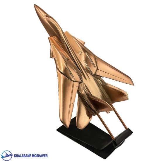 ماکت f14 برزنی